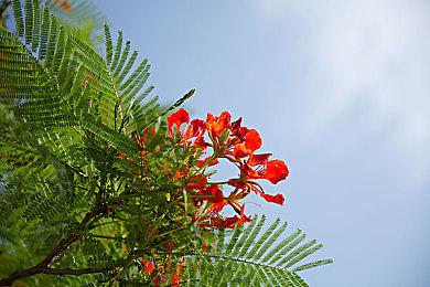 《Apex英雄》盛装杀戮收集活动预告 地平线传家宝上线